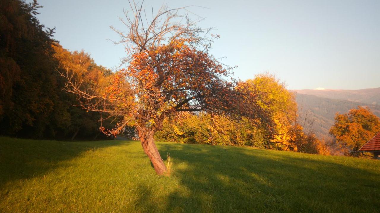 TrebesingAltes Pfarrhaus Altersberg公寓 外观 照片